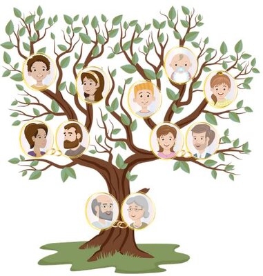 zdjęcie do
														 artykułu: DRZEWO GENEALOGICZNE (10.10.2023)