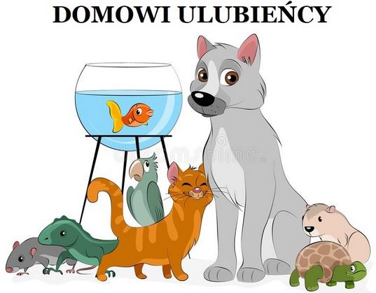 DOMOWI ULUBIEŃCY (27.10.2023)