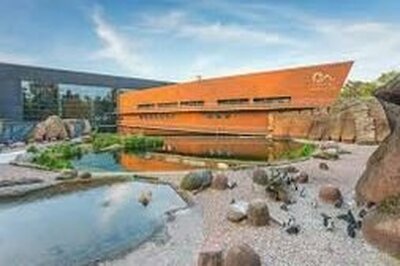 zdjęcie do
														 artykułu: WYCIECZKA DO WROCŁAWIA