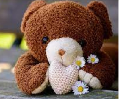 zdjęcie do
														 artykułu: ŚWIĘTO PLUSZOWEGO MISIA (25.11.2021 r.)