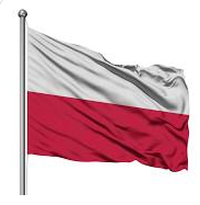 zdjęcie do
														 artykułu: Mamo, Tato wywieś ze mną flagę(13.10.2020 r.)